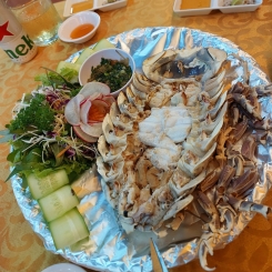 Bọ biển hấp cách thủy